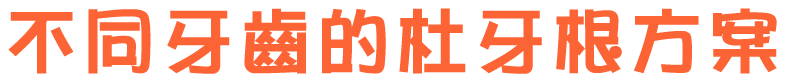 不同牙齒的杜牙根方案